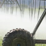 spraying water on crop 5