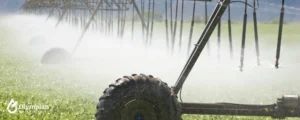 spraying water on crop 5