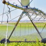 spraying water on field 11