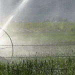 spraying water on field 14