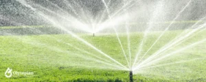 spraying water on field 15