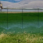 spraying water on field