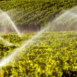 spraying water on field 16