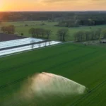 spraying water on field 2