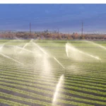 spraying water on field 20