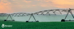 spraying water on field 9