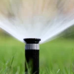 spraying water on grass