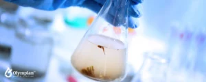 testing dirty water
