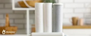 water filters 11