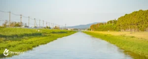 water for field irrigation