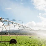 water in agricultural sector