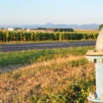 water in agricultural sector 2