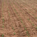 water irrigation system 4