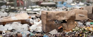 water pollution 10