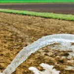 water pouring on field 4