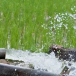 water pouring on field 6
