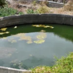 water supply for agriculture