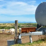 water tank for irrigation