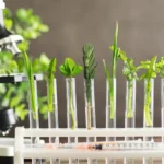 water testing services 25