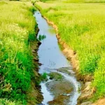 Agricultural Sulfate in Drinking Water