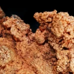 Copper in Drinking Water (1)