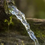 Spring Water Minerals Essential Elements for Optimal Health