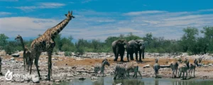biodiversity 3