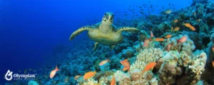 biodiversity 4