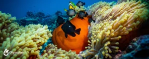 biodiversity 5