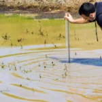 checking outside water level and quality