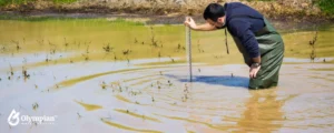 checking outside water level and quality