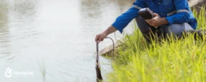checking outside water quality 11