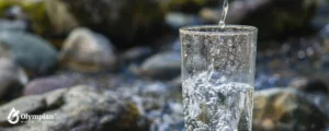 checking water quality with a glass 5