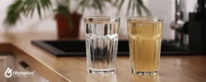 dirty water in glass