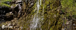 groundwater (3)
