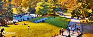 new york (10)