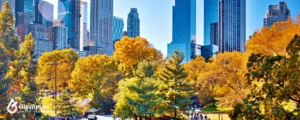 new york (13)