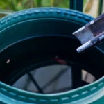 rainwater harvesting 11