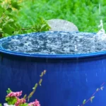 rainwater harvesting