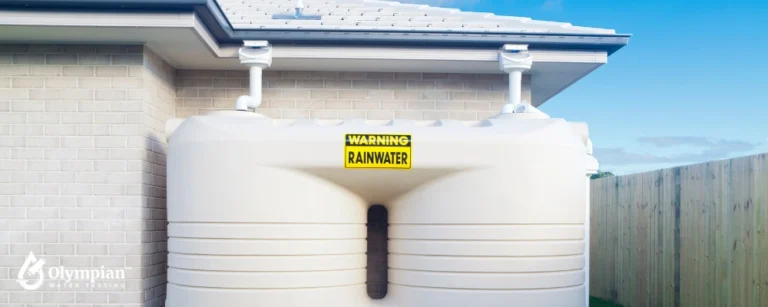 rainwater harvesting 3