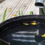 rainwater harvesting 4