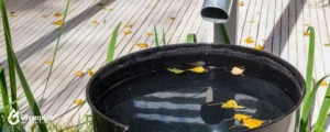 rainwater harvesting 4