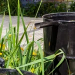 rainwater harvesting 5