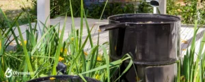 rainwater harvesting 5