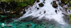 river with high water quality