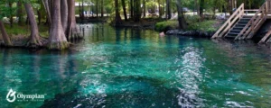 spring river 7