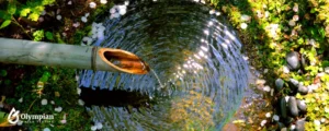spring water 8