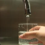 taking a glass of water from sink