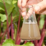 taking water quality samples