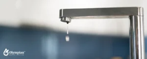 tap water 17